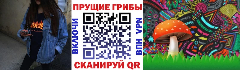Псилоцибиновые грибы Psilocybe  мега маркетплейс  Волосово 